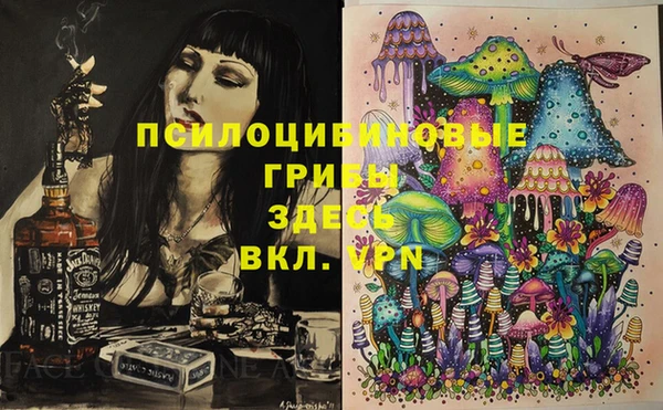 скорость Белокуриха